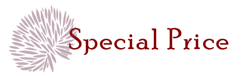 スペシャルプライス