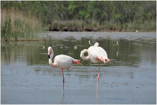 ローヌ河のイメージ写真