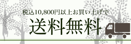 送料無料g